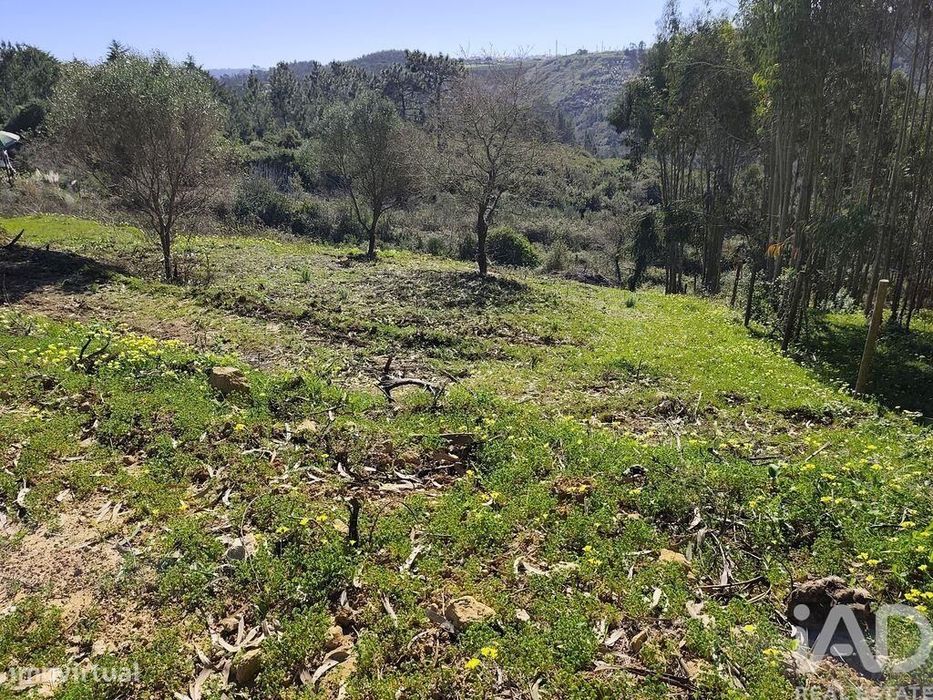 Terreno Agrícola em Mafra