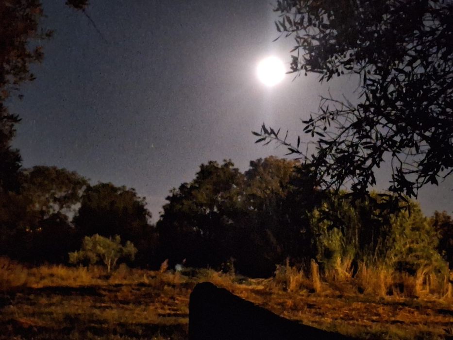 2 terrenos Contíguos com 6 mil m2, com caravana de 8m