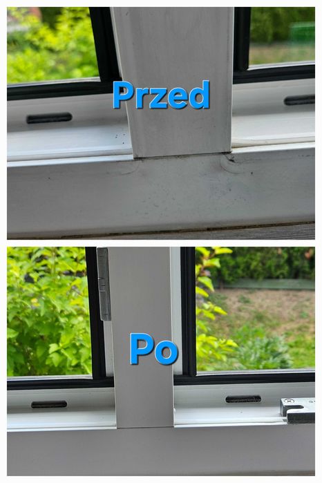 Profesjonalne Sprzątanie
