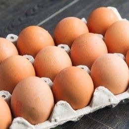 Інкубаційне яйце бройлерів росс708 кобб 500