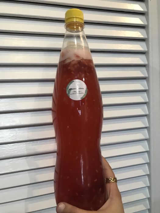 Kombucha artesanal Daterrapraboca ou scoby