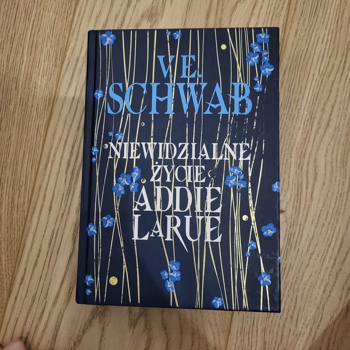 Niewidzialne życie addie larue