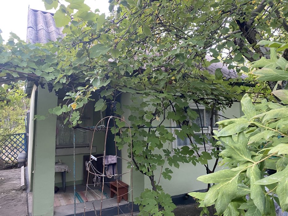 Дачний невеликий будинок