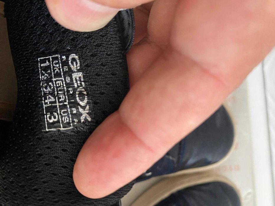 GEOX Kalispera sapato Azul Tam:34