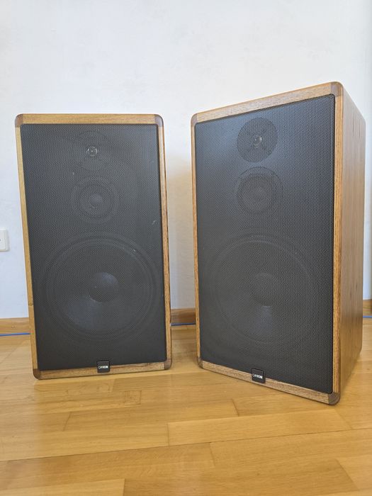 Акустика Canton ct1000