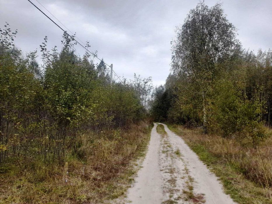 Колонщина ділянка 12 соток під забудову електрика по фасаду.