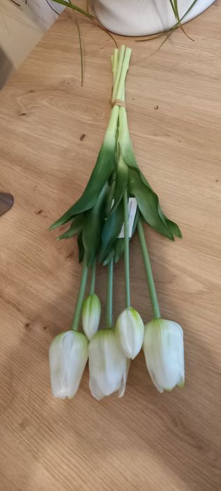 Bukiet tulipana gumowego nowy biały
