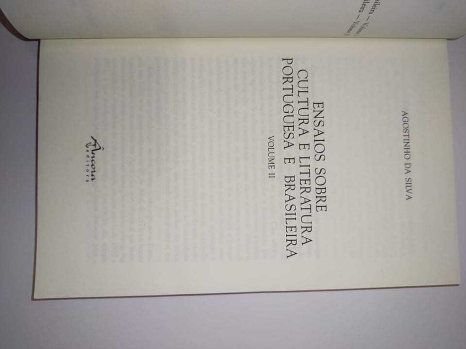 Ensaio sobre cultura e literatura Portuguesa e Brasileira II