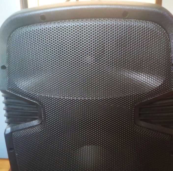 Coluna de SOM - 6oo W - Com rodas