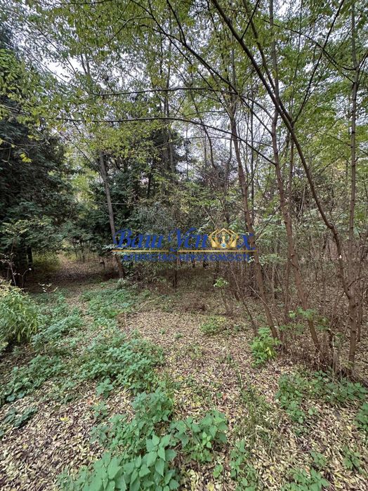 Продажа базы отдыха в лесу  село Баришевка .Броварской район.