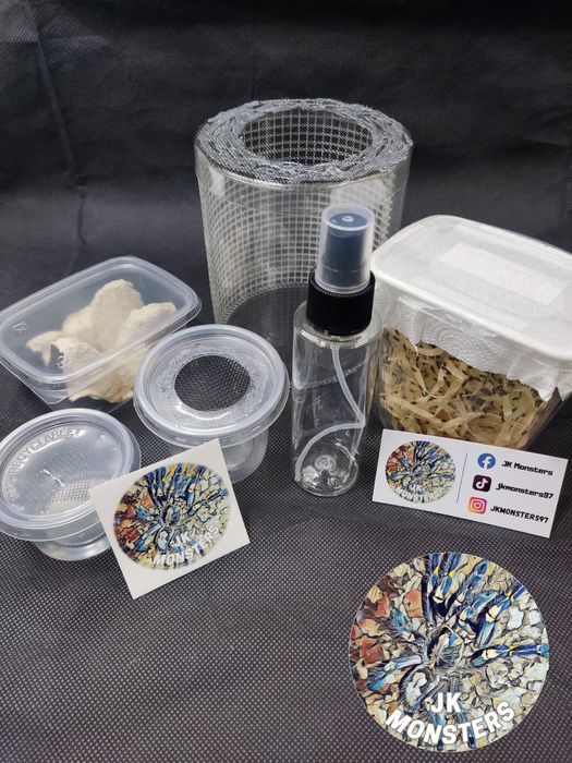 Pełna lista modliszek/modliszki/modliszka +gratisy