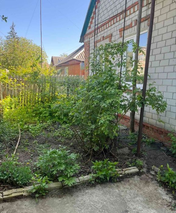 Продам будинок с. Рокитне