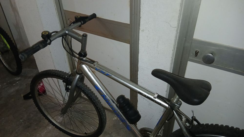 Bicicleta adulto