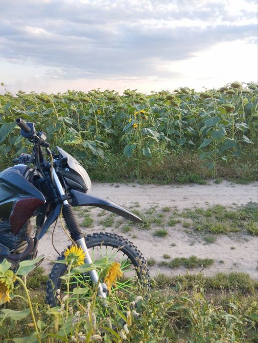 Geon x road lights 200