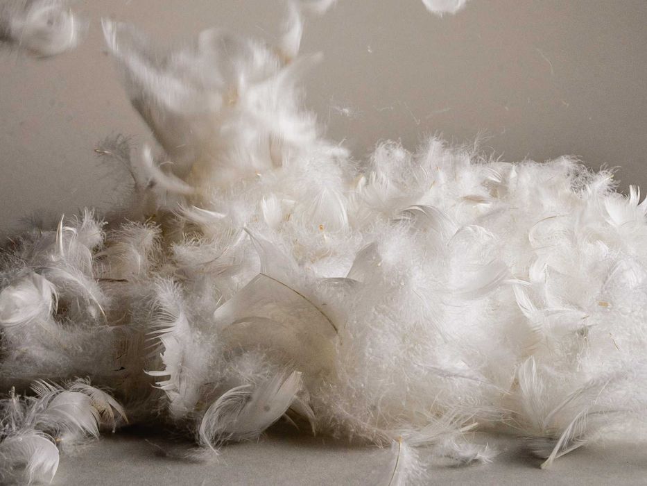 пух, перо, пір'я