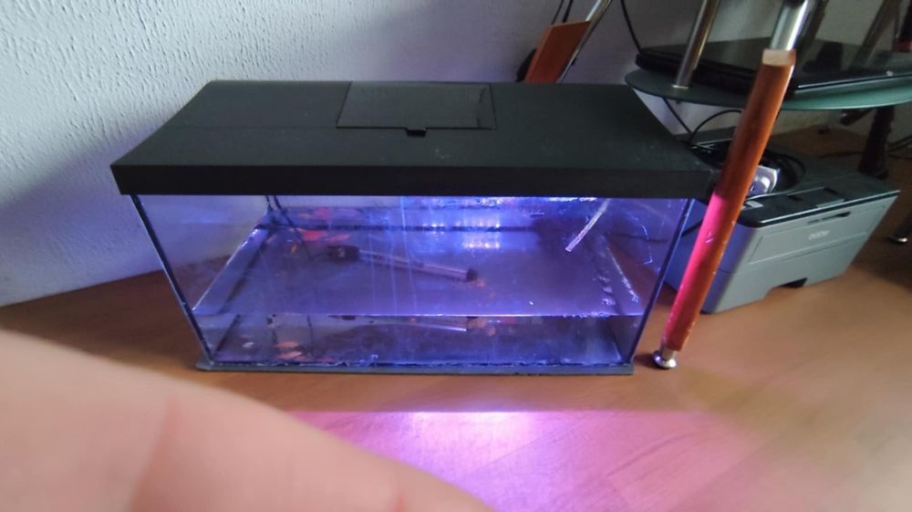 Akwarium z akcesoriami