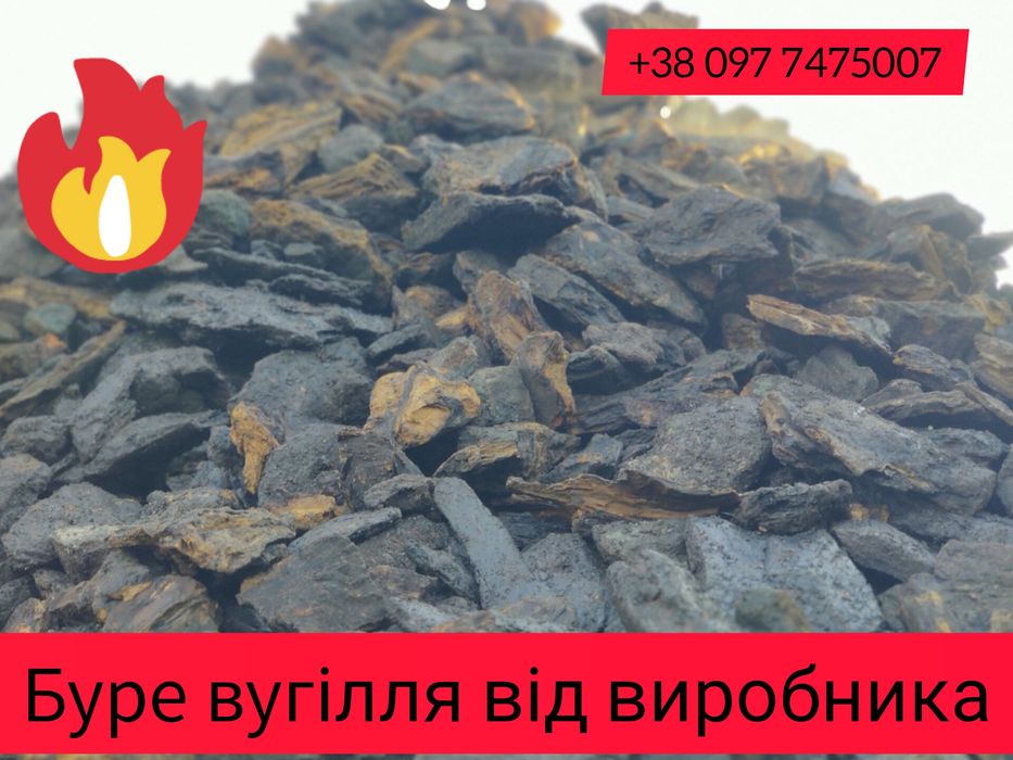 Буре вугілля (лігніт) від виробника