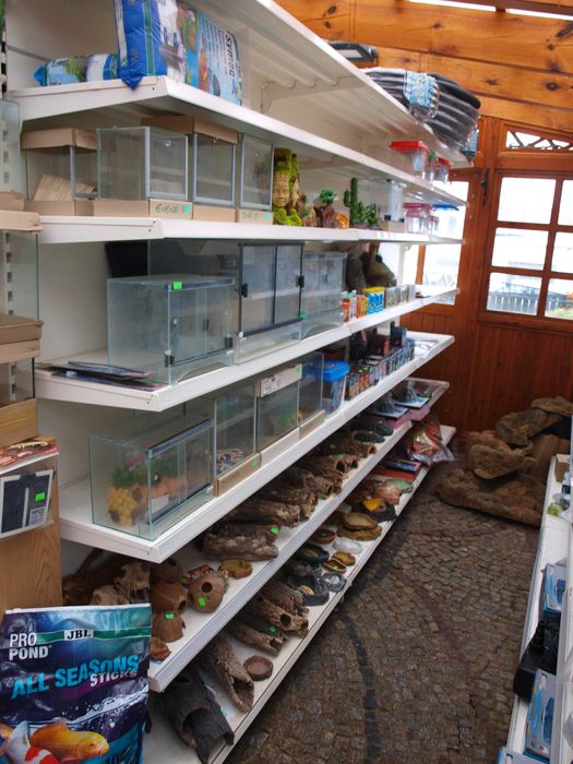 Terrarium 120x40x50