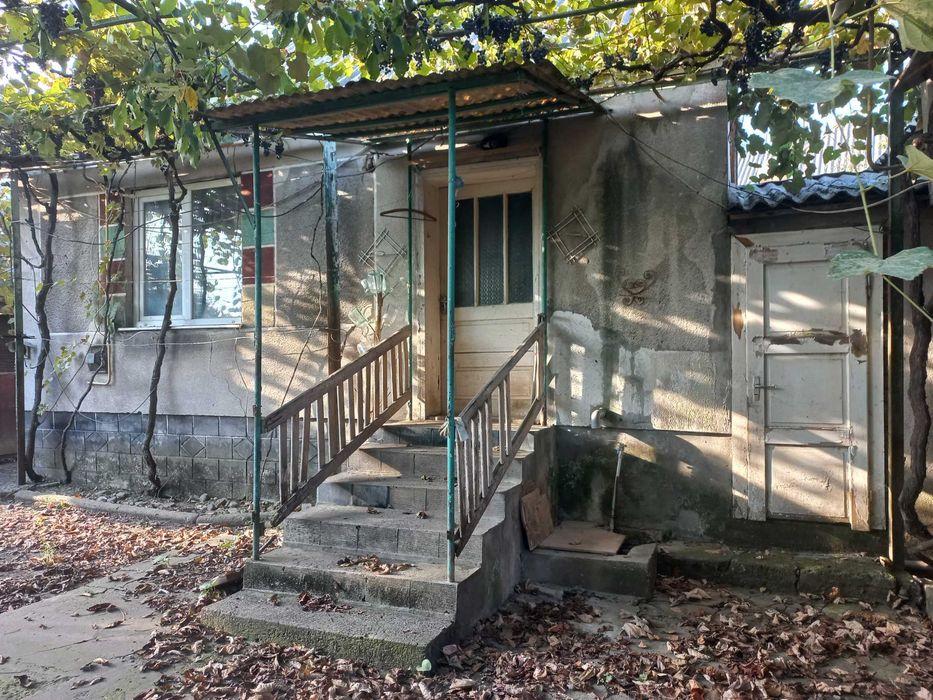 Будинок в селі з меблями та літньою кухнею