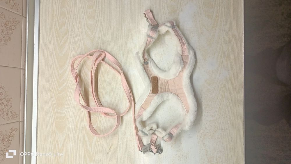 Повідець для собак