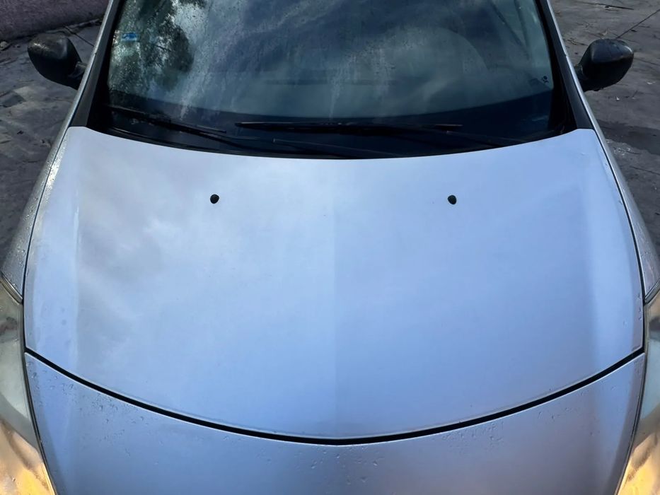 Capot RENAULT Clio III (BR0/1, CR0/1)