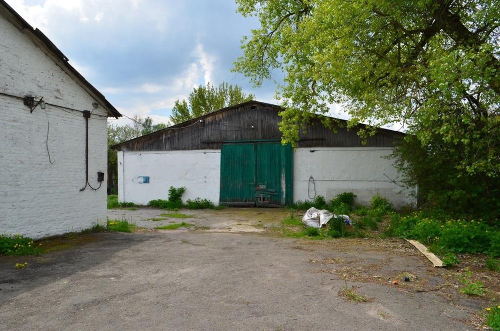 Зерносклади, комори з площадками для сушіння, с. Сушки