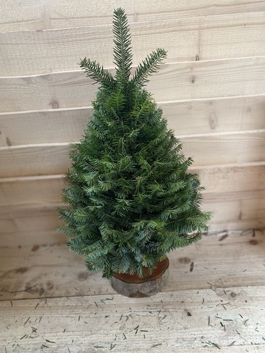 Плетена ялинка ручної роботи...