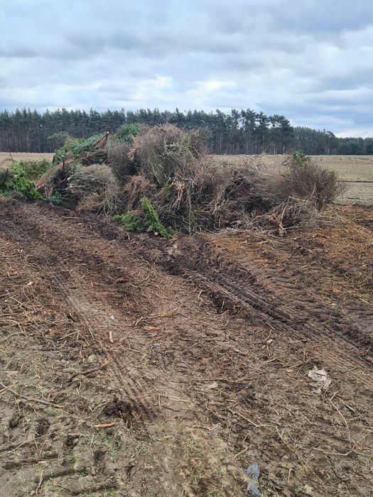 usługa mulczerem leśnym powierzchniowym