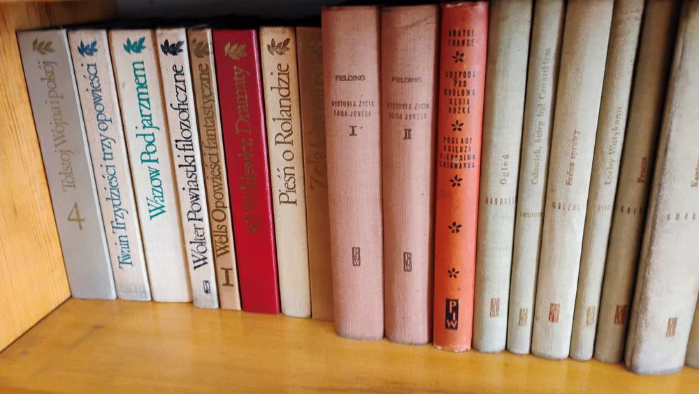 Seria klasycznej literatury światowej