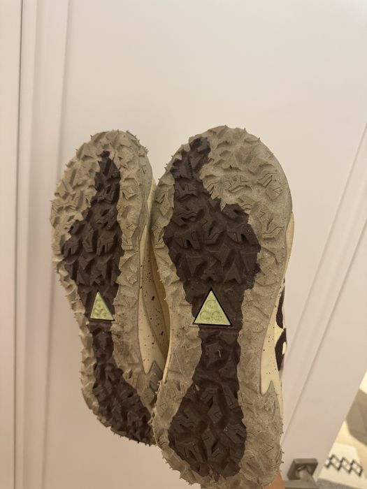 Кросівки Nike ACG Mountain Fly 2