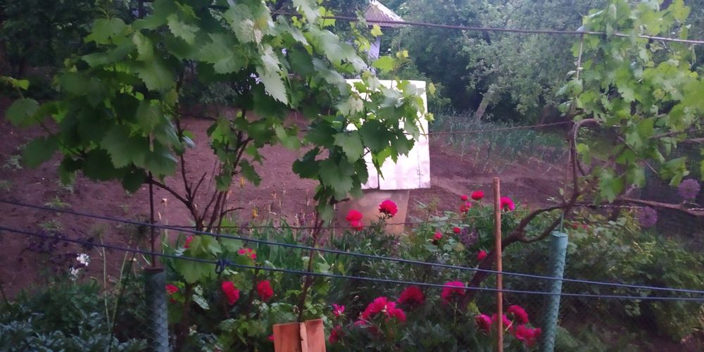 Продається будинок+земельна ділянка район Виставка