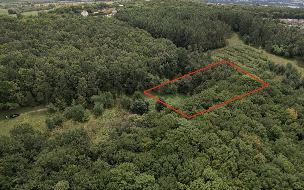 22 сотих у центрі соснового лісу! Хмельницький