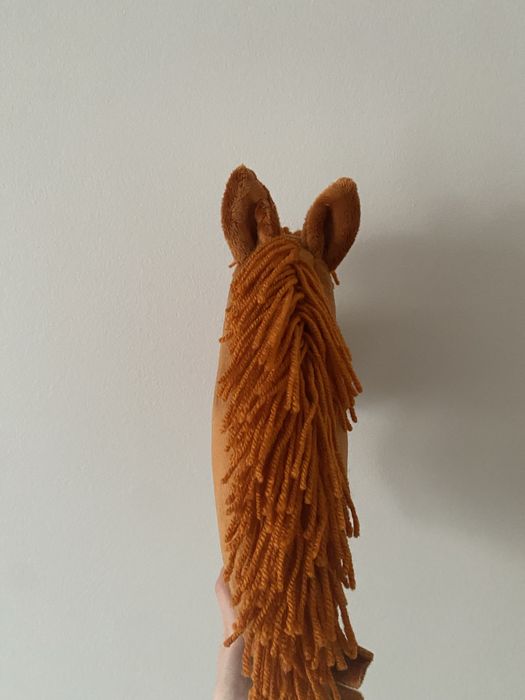 Hobby horse A4 rudy