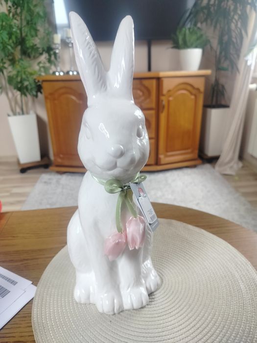 Zając home and you śliczny