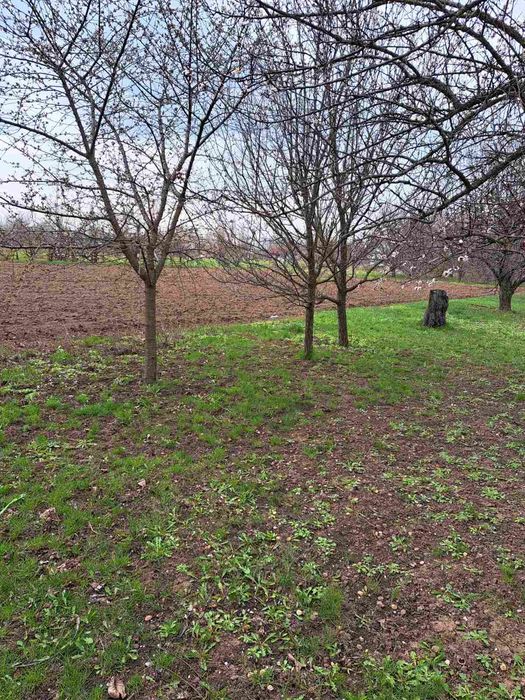 Продається земельна ділянка в ЯРу