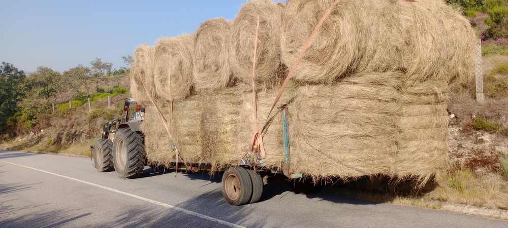 Vendo reboque agrícola matrículado  (tipo estrado pronto socorro) )