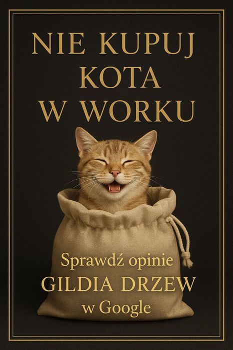 Schody  Stopnie Trepy Parapety Klejonka  Blaty Dębowe Rustykalne