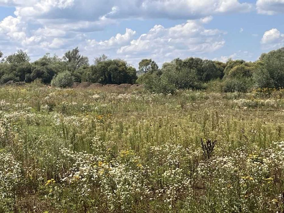Ділянка під будівництво 6,6 сот Крихівці (4)