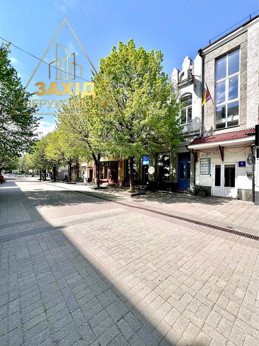 Комерція 142 кв.м! Центр! вул.Лесі Українки! 739 $/кв.м