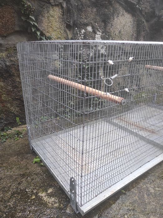 Gaiolas para criação de ring neck.