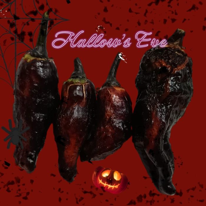 Vendo sementes de malaguetas raras