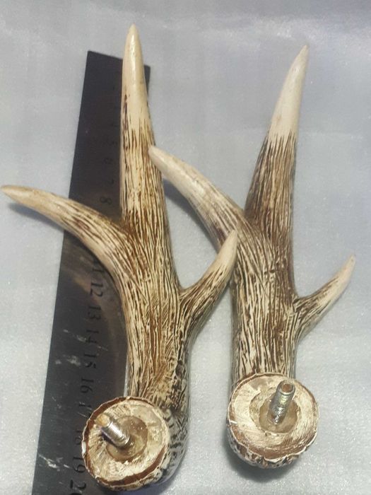 Рога   косули декор