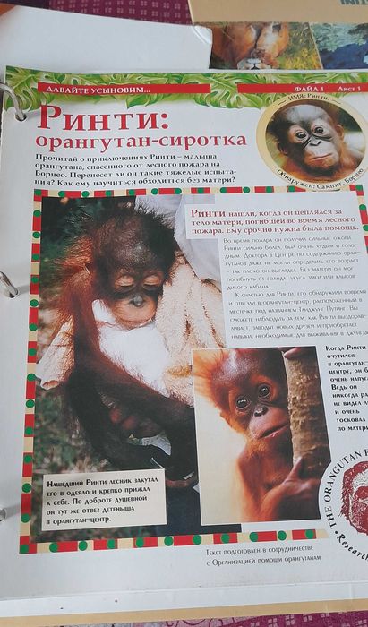 Енциклопедія  Животные нашей планеты"