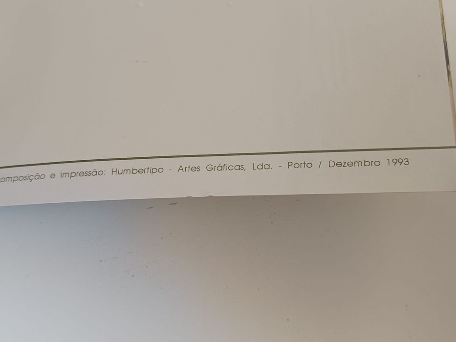 O cavaleiro da Dinamarca
