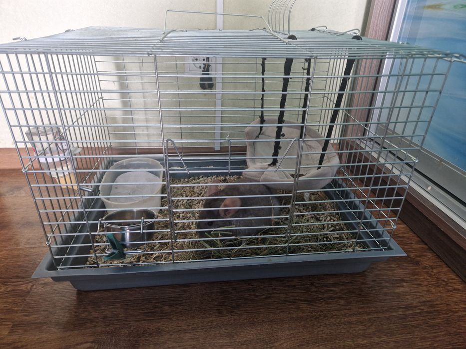 Клітка для гризуна