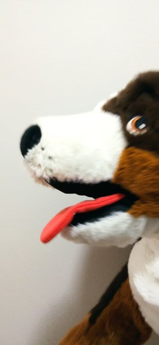 Dog plush toy.64730221302913122