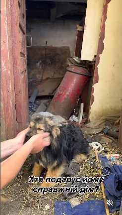 Прекрасный хлопчик в добрые руки