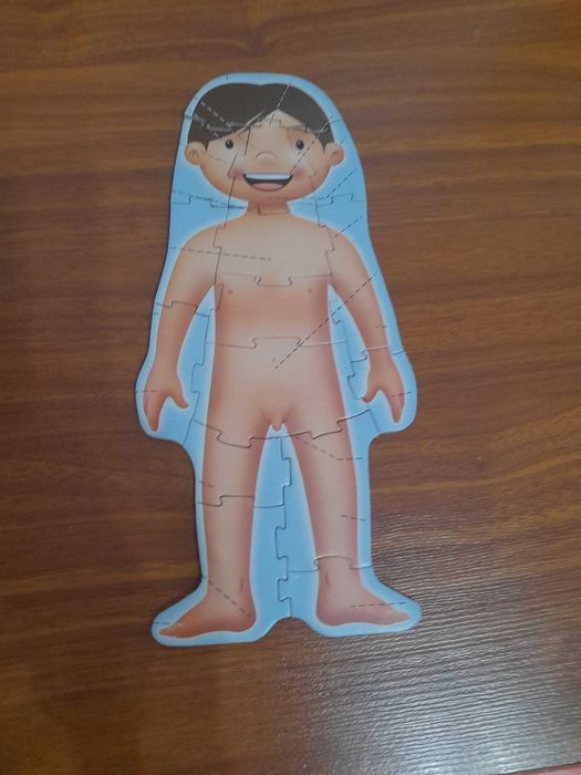 Jogo educativo: Aprendo... O corpo humano ㅤ