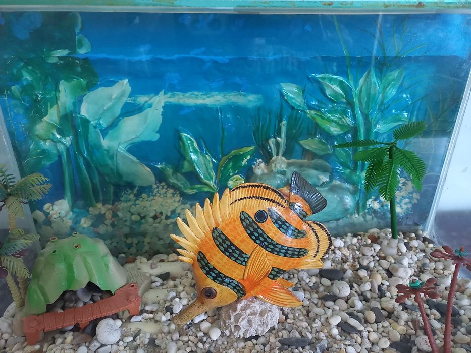 Aquário de peixes