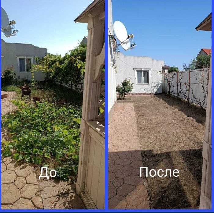 Очистка участка любой сложности.